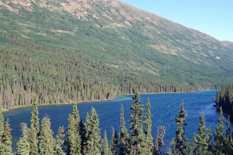 Deserted lake and endless forests, Yukon Territory, Canada, North America