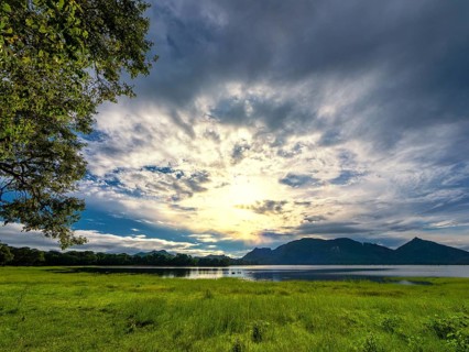 Sunrise and sunbeams between the clouds, green meadow at the lake, Kandalama Lake, Dambulla, Sri