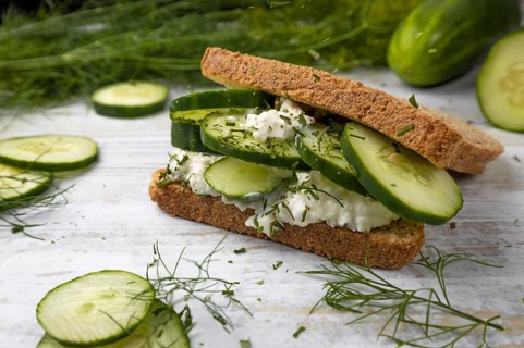 Sandwich, with snake cucumber (Cucumis sativus), dills (Anethum graveolens), cream cheese