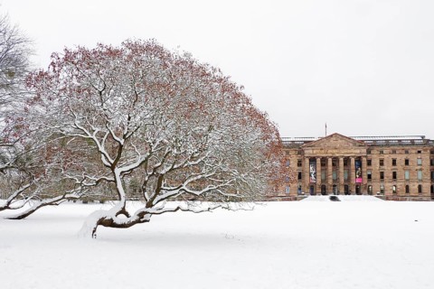 Tree covered in snow in front of a historic building in winter, Wilhelmshöhe Palace, Bergpark