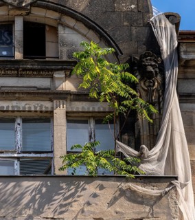 Zum Hufeisen, old still standing ruin of the Tacheles, Oranienburger Straße, Mitte, Berlin,