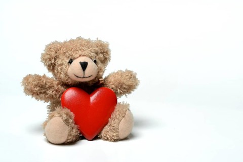 Teddy, teddy bear with red heart