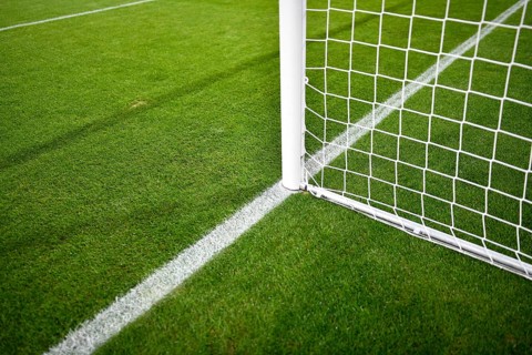 Stadium interior, goal, goal net, empty, turf, marking, diagonal, PreZero Arena, Sinsheim,