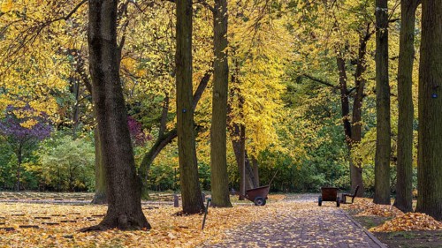 Autumn time, Volkspark Rehberge, war graves, memorial site, Berlin, Germany, Europe
