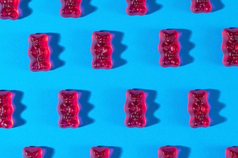 Red gummy bears in rows, on a blue background