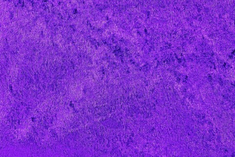 Violet panne velvet textile texture