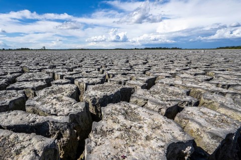 Cracked earth, heavily dried out Zicksee, Lake Neusiedl-Seewinkel National Park, Burgenland,