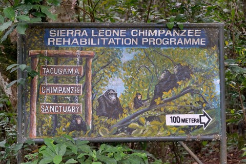 Sign at the entrance to the Tacugama Chimpanzee Sanctuary, a chimpanzee conservation project,