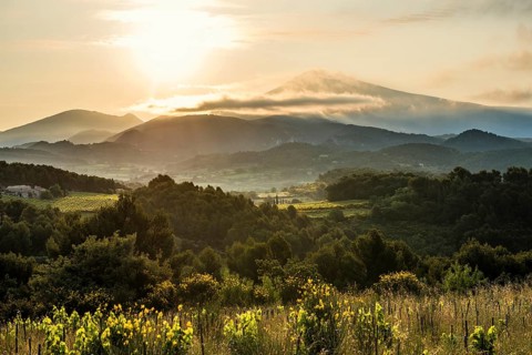 Sunrise, Mont Ventoux, Dentelles de Montmirail, Département Vaucluse, Provence, Provence-Alpes-Côte