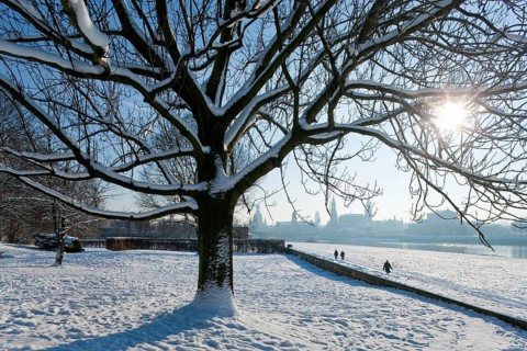 Dresden silhouette in winter