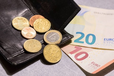 Wallet with coins and notes, euro, Germany, Europe