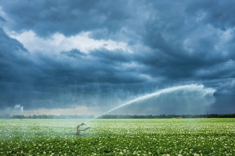 Irrigation, potato field near Zarrentin, Mecklenburg-Western Pomerania, Germany, Europe