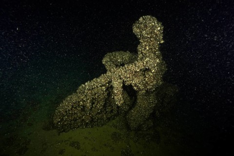 A cyclist was sunk in Lake Constance as an attraction for divers. It is now completely covered with