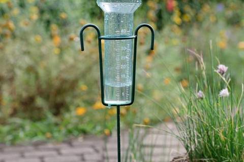 Rain gauge, scale, rain, display, garden, A rain gauge is filled with rainwater to 10 mm