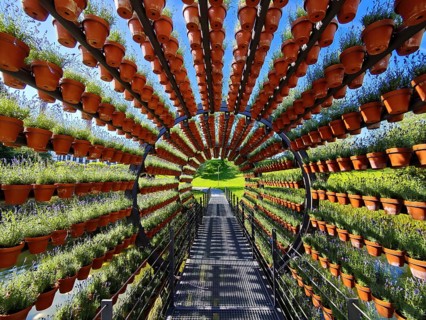 Scented tunnel, a work of art and a beam bridge by Ólafur Elíasson, Autostadt, Volkswagen AG,
