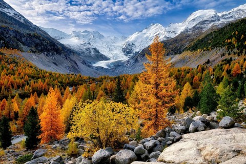 Autumn-coloured valley at dawn, Morteratsch, Engadin, Canton Graubünden, Switzerland, Europe