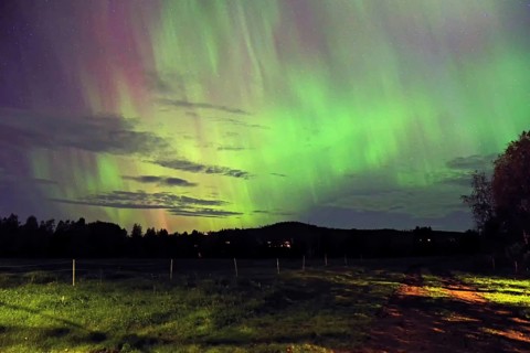 Beautiful green and purple auroras in the night sky over a dark field, the stars visible, Vemdalen,