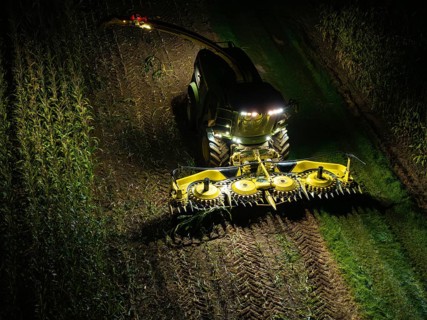 A combine harvester harvests a maize field at night, illuminated by floodlights, maize harvest,