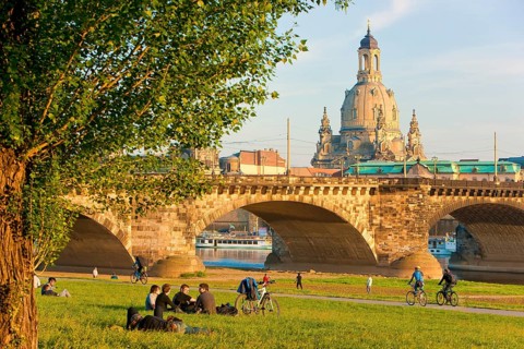 Dresden Elbe meadows in spring