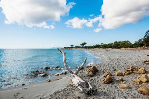 Lonely beach, Spiaggia di Biderosa, Riserva Biderosa nature reserve, Orosei, Nuoro province, east