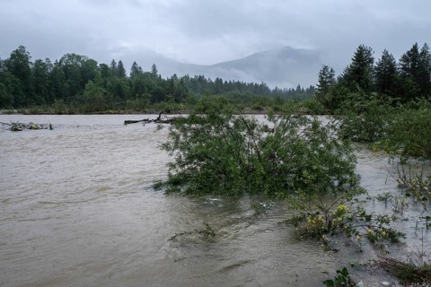 Flood, continuous rain, river, rain, flooding, Upper Bavaria, force of nature, climate, climate