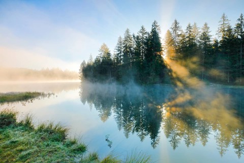 Rays of sunshine make their way through forest and fog at the mirror-smooth moorland lake Étang de