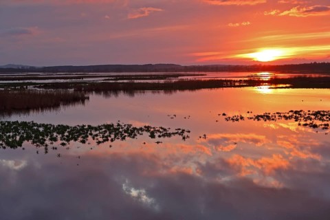 Sunset over the Große Rosin nature reserve on the Peene, rewetted polder, bird sanctuary, Peene