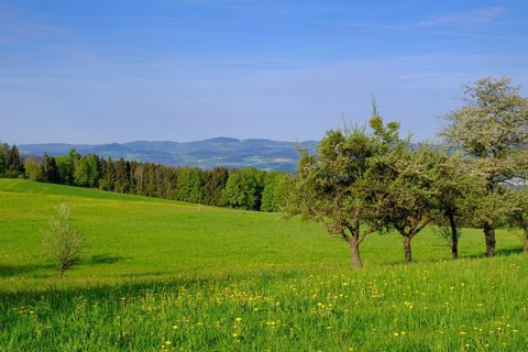 Landscape near Summerau, near Freistadt, Mühlviertel region, Upper Austria, Austria, Europe