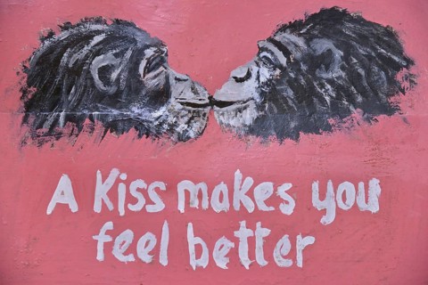 Sign at the entrance to the Tacugama Chimpanzee Sanctuary, a chimpanzee conservation project,
