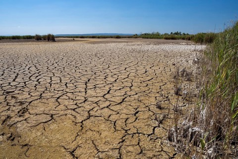 Heavily desiccated soil of Lake Neusiedl, Lake Neusiedl-Seewinkel National Park, Illmitz,