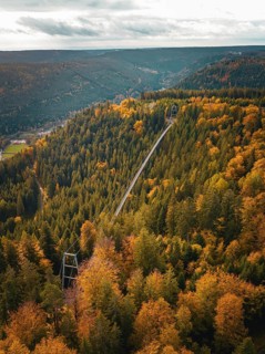Wildline suspension bridge in autumn forest, Sommerberg, Black Forest, Bad Wildbad, Germany, Europe
