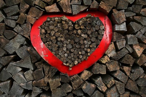 Firewood, wood pile, split, heart, Swabian Forest, Baden-Württemberg, GermanyS