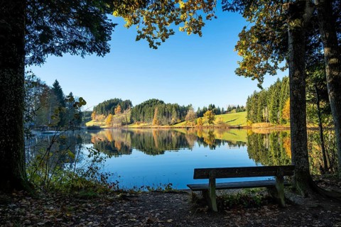 The Hengelesweiher pond in the Hengelesweiher nature reserve in autumn. The lake is surrounded by