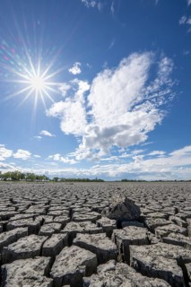 Cracked earth, heavily dried out Zicksee, Lake Neusiedl-Seewinkel National Park, Burgenland,