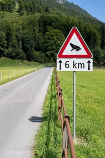 Traffic sign Attention toad migration on 6 km, Switzerland, Europe
