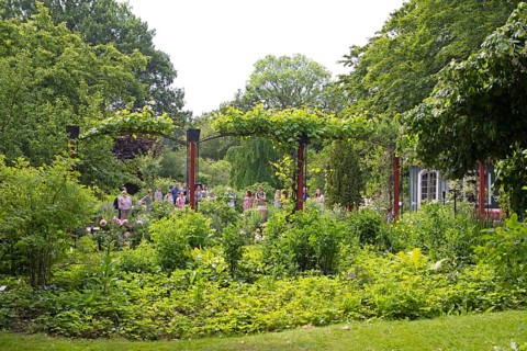 Botanical Garden, Gothenburg, Västra Götalands län, Sweden, Europe