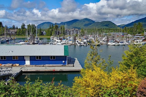 Small boat harbour in spring, good weather, Ucluelet, Pacific Rim National Park, Vancouver Island,