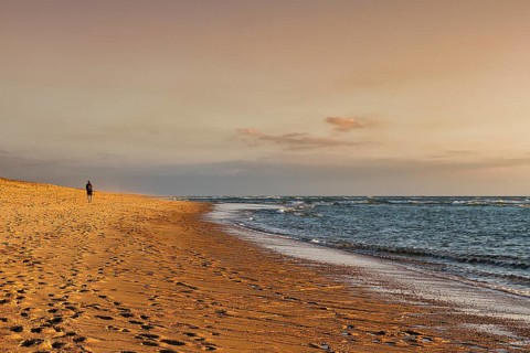Coastline, lonely walker on beach, enjoying evening light, Soustons Plage, Silver Coast, Côte