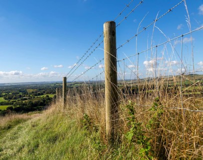Low angle view fence posts Vale of Pewsey, Pewsey Vale, Martinsell Hill, Oare, Wiltshire, England,