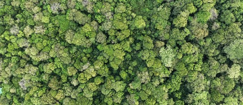 Wallpaper, aerial view, rainforest from above, Tortuguero National Park, Costa Rica, Central