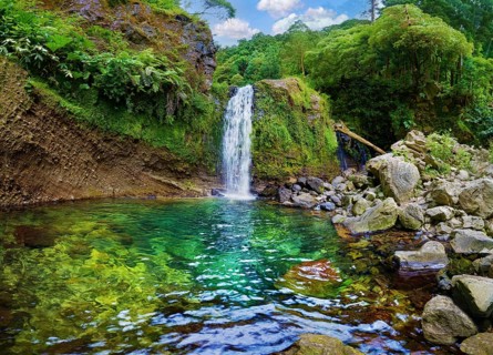 Cascading waterfall flowing into a clear green pool surrounded by rocks and vegetation, Poca da