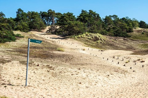 Sand dune Klein Schmoelen near Elbe river, located between Doemitz and Lenzen, Elbe biosphere