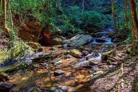 Small stream with clear waters crossing the rainforest in the state of Minas Gerais, Minas Gerais,