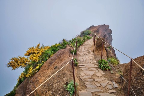 The hiking trail in mountains between Pico de Arieiro and Pico Ruivo in clouds with blooming