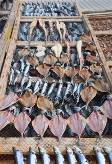 A wooden frame with net-like wire on which various types of dried fish lie, fish drying, Praia da
