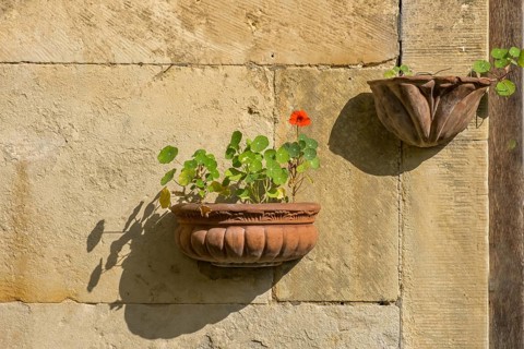 Flower decoration in terracotta pots on an old sandstone wall, North Rhine-Westphalia, Germany,