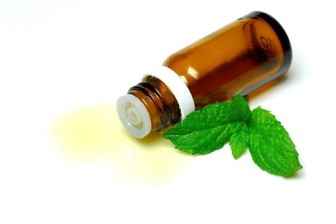 Peppermint oil (Mentha peperita) , Peppermint oil, Aromatherapy, Essential oil