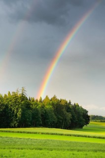 Evening thunderstorm atmosphere with double rainbow over lush green mixed forest, in the Zurich