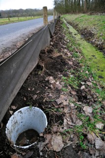 Barrier with buckets for migrating amphibians, common toad (Bufo bufo) crossing the road during the