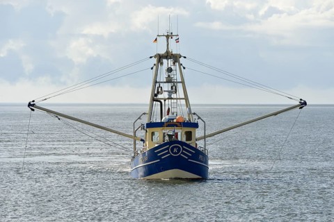 Fishing boat off Pellworm island, North Frisia, Schleswig-Holstein, Germany, Europe